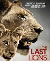 The last lions /  